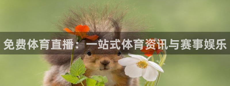 免费体育直播：一站式体育资讯与赛事娱乐