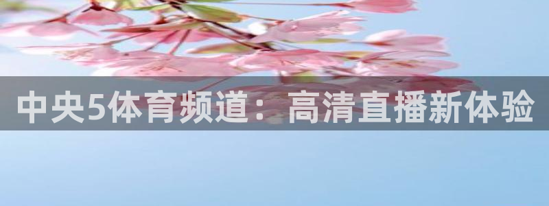 中央5体育频道：高清直播新体验