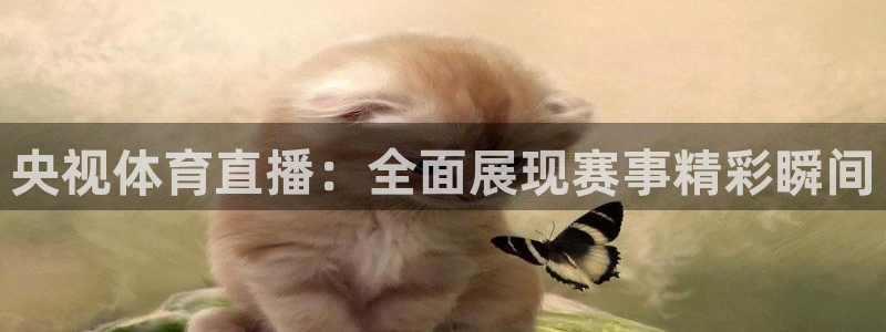 央视体育直播：全面展现赛事精彩瞬间