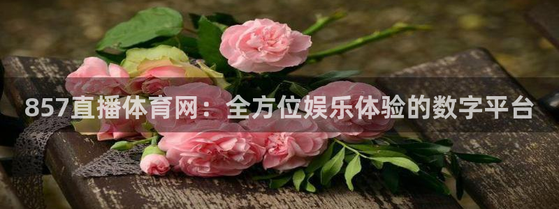857直播体育网：全方位娱乐体验的数字平台