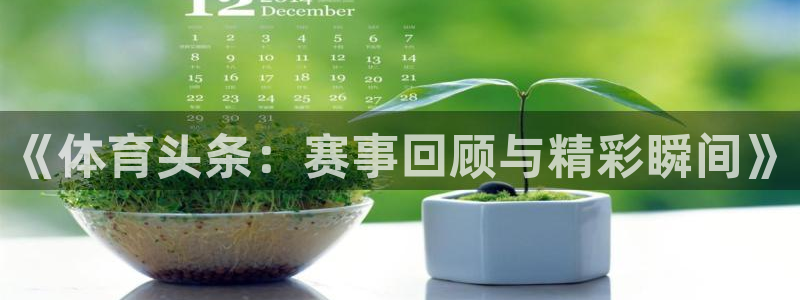 《体育头条：赛事回顾与精彩瞬间》