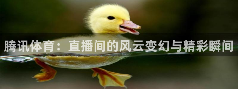 腾讯体育：直播间的风云变幻与精彩瞬间